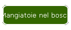 Mangiatoie nel bosco